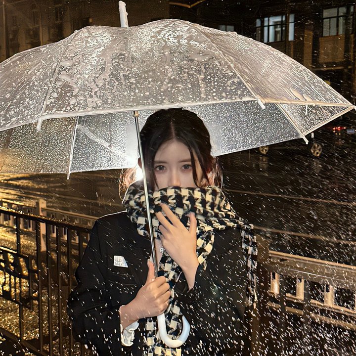 呆子2